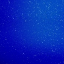 5eb4c89f2263.jpg