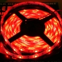 65007fd8bd1f.jpg