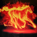 ed2ad1af7d56.jpg